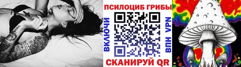 где найти наркотики  Туапсе  kraken ссылки  Псилоцибиновые грибы мицелий 